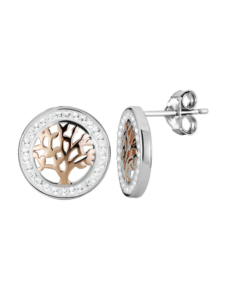 Gold Plated Silver Two Tone Crystal Tree Of Life Stud Earrings