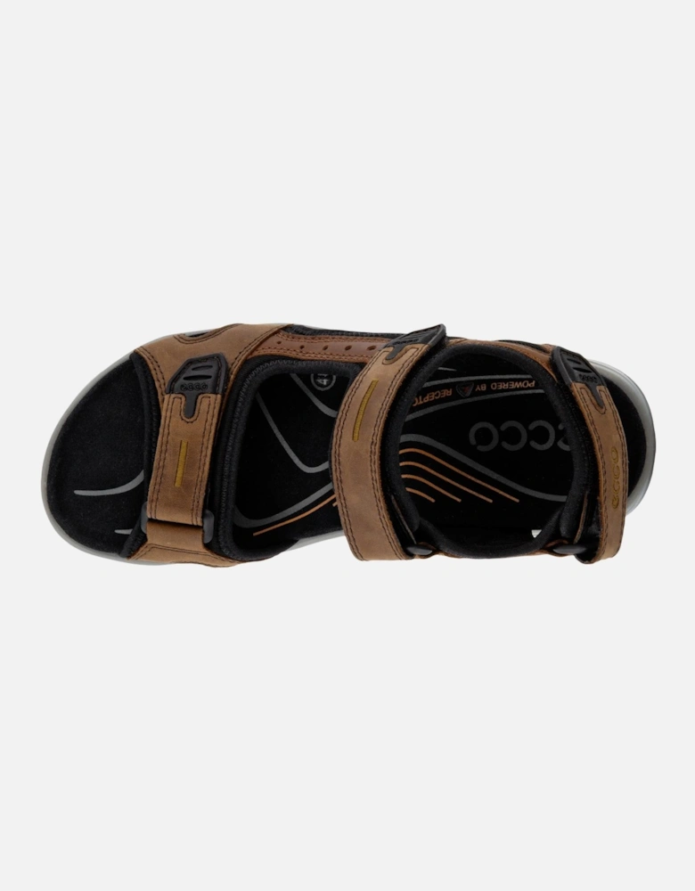 Offroad Mens Sports Sandal 069564 56401 Espresso