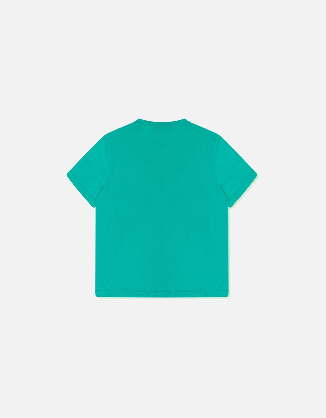 Youths Small Logo T-Shirt (Green)