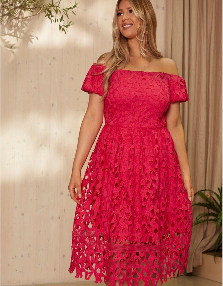 Bardot Premium Lace Fit and Flare Midi Dress in Pink