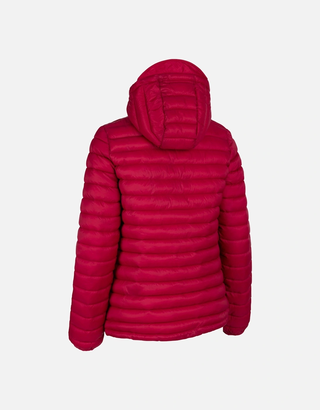 Womens/Ladies Lenka Hooded Padded Jacket