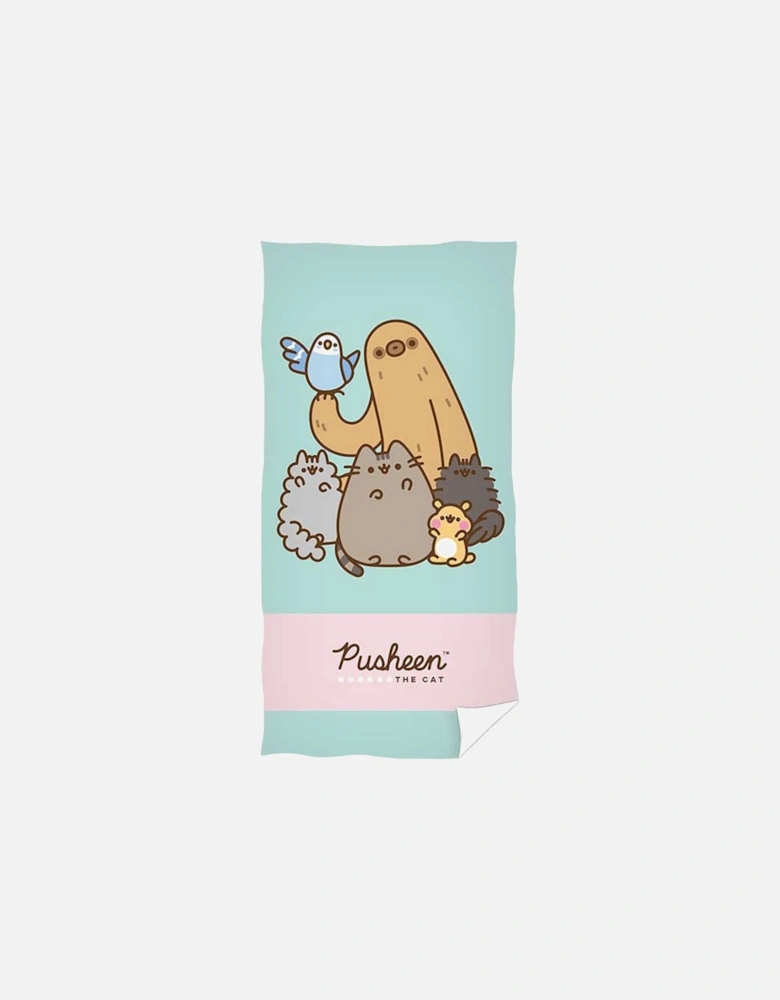 Characters Soft Touch Beach Towel