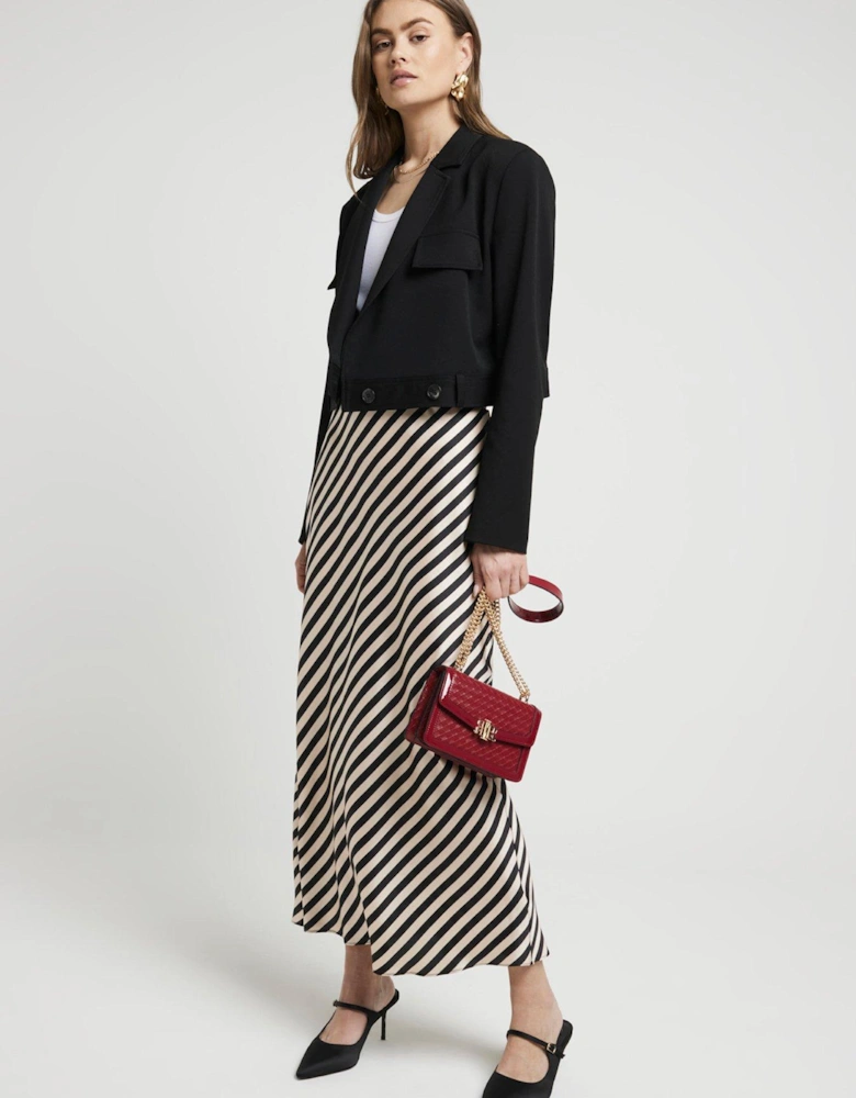 Stripe Print Bias Cut Maxi Skirt - Light Beige