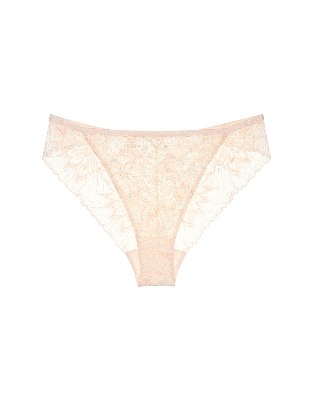 Amourette Charm Delight Embroidered High Leg Brief - Ivory