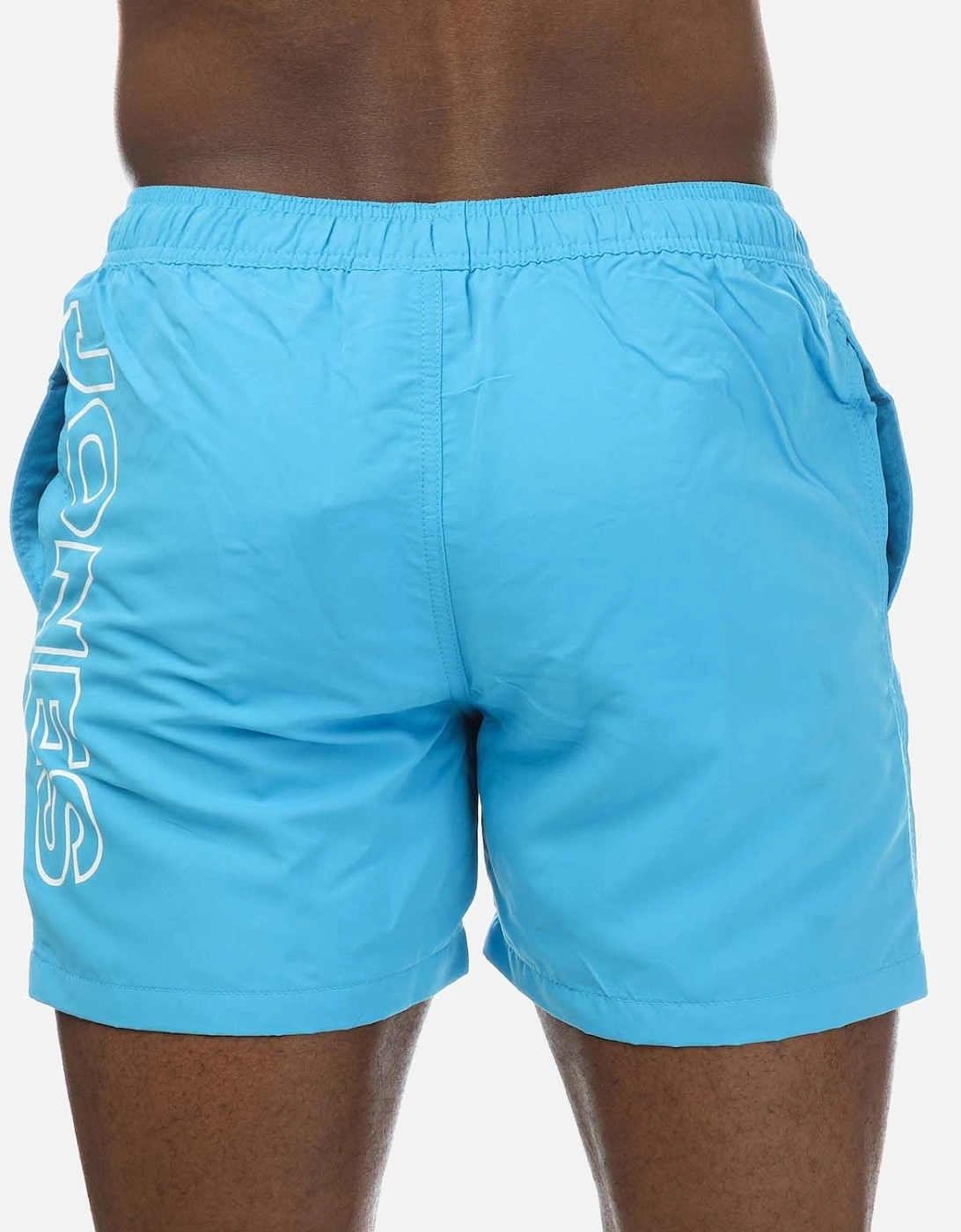 Mens Aruba Swim Shorts
