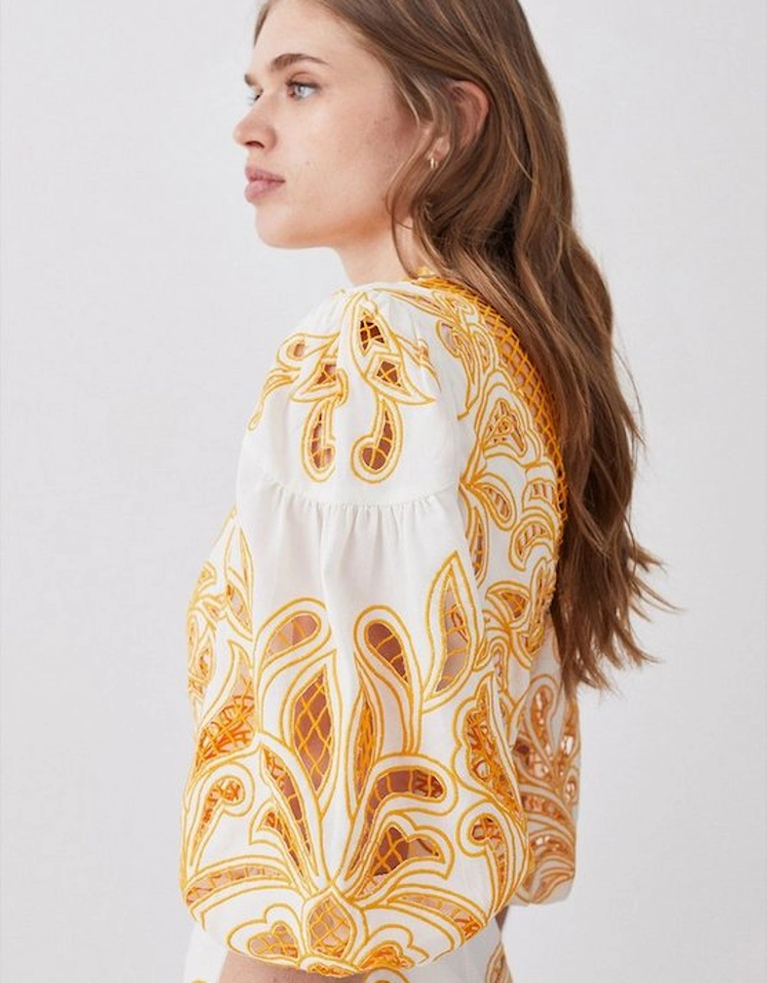Tall Mirrored Cutwork Embroidered Woven Mini Dress