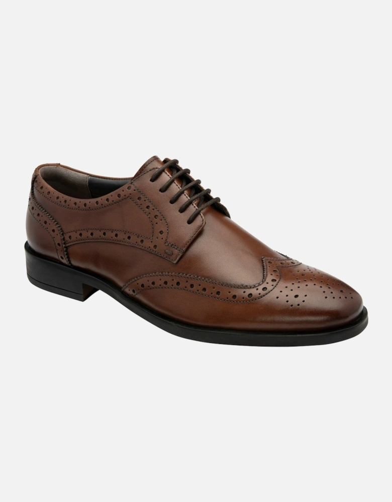 Nichols Mens Brogues