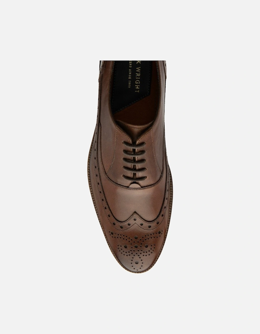 Steele Mens Brogues