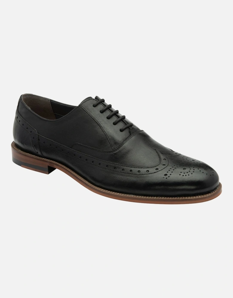 Steele Mens Brogues