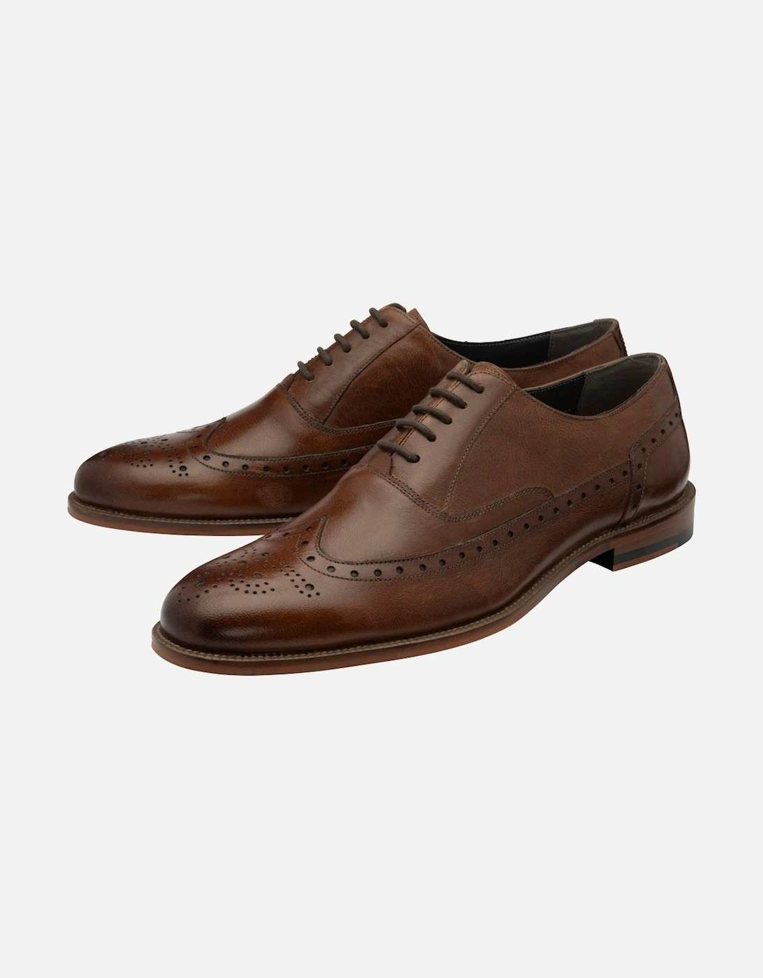 Steele Mens Brogues