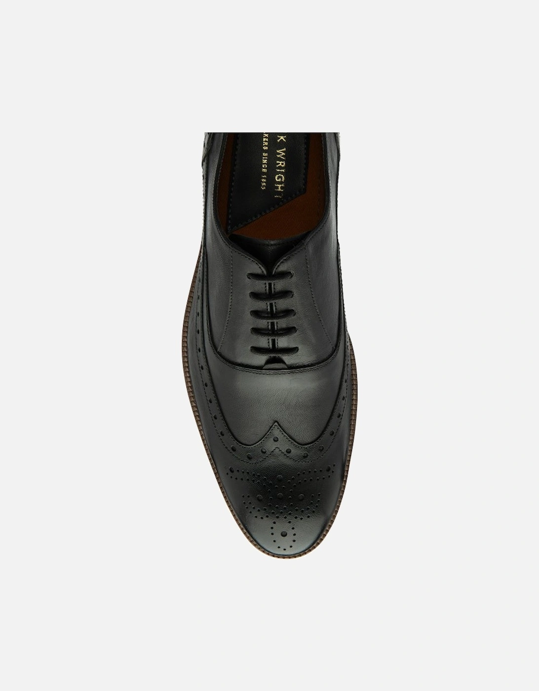 Steele Mens Brogues