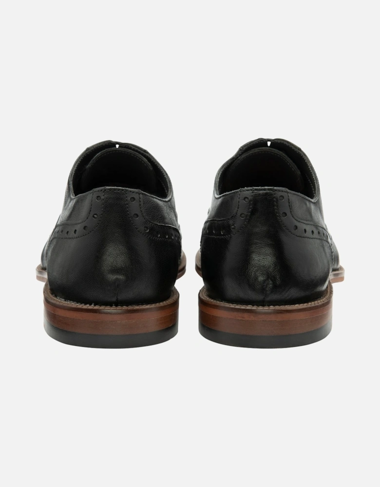 Steele Mens Brogues