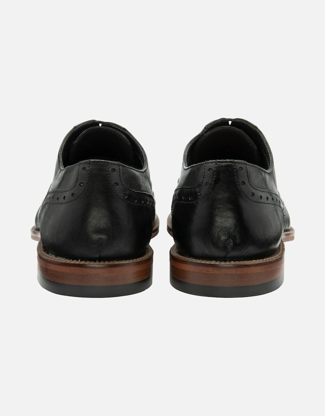 Steele Mens Brogues