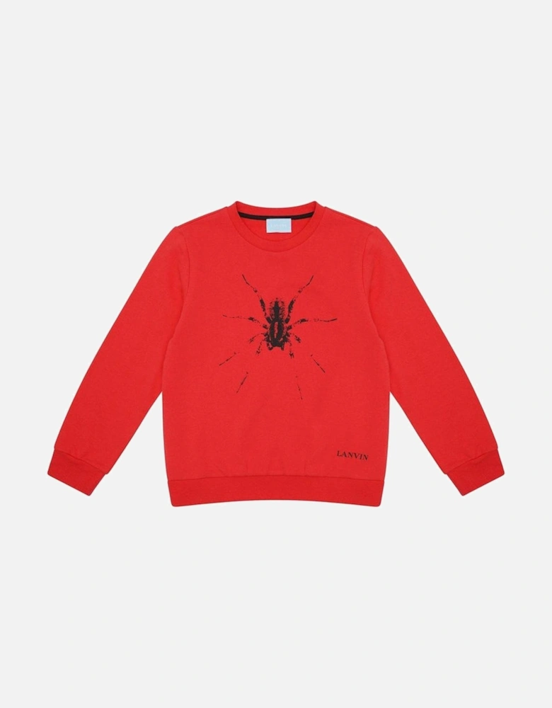 Boys Red Sweater