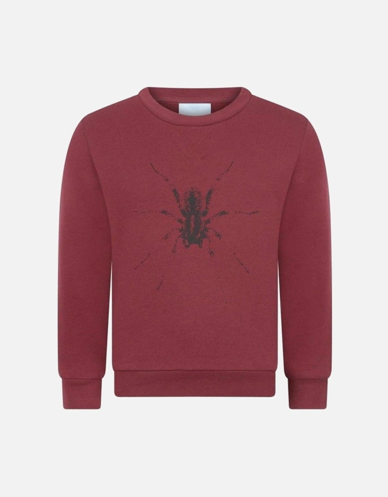 Boys Burgundy Spider Sweatshirt