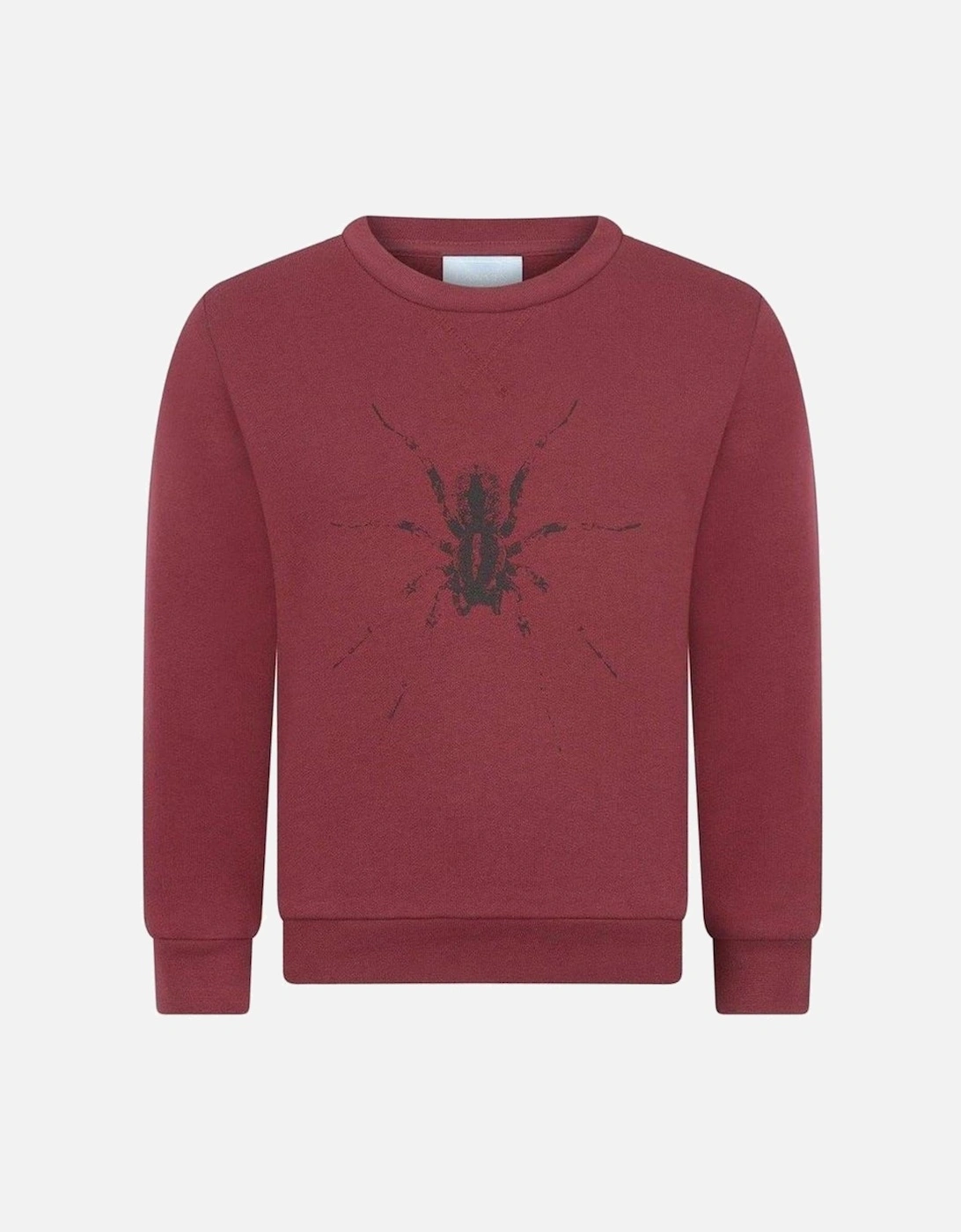 Boys Burgundy Spider Sweatshirt, 2 of 1
