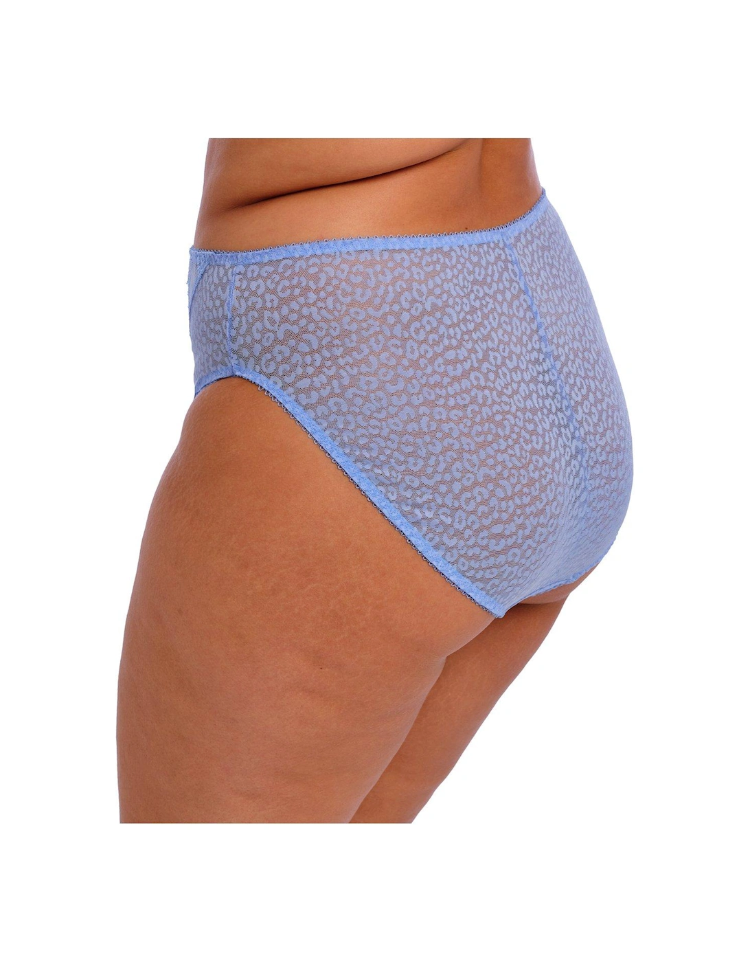 Lucie High Leg Brief - Blue