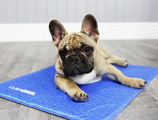 Climacool Cooling Dog Mat