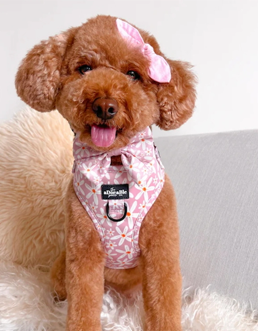 Dandy Daisy Harness