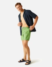 Piquant Green