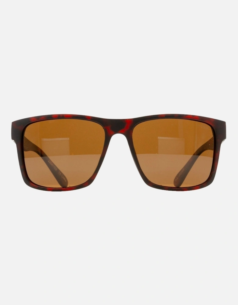 Ryder Sunglasses - Tortoise/Brown Polarized