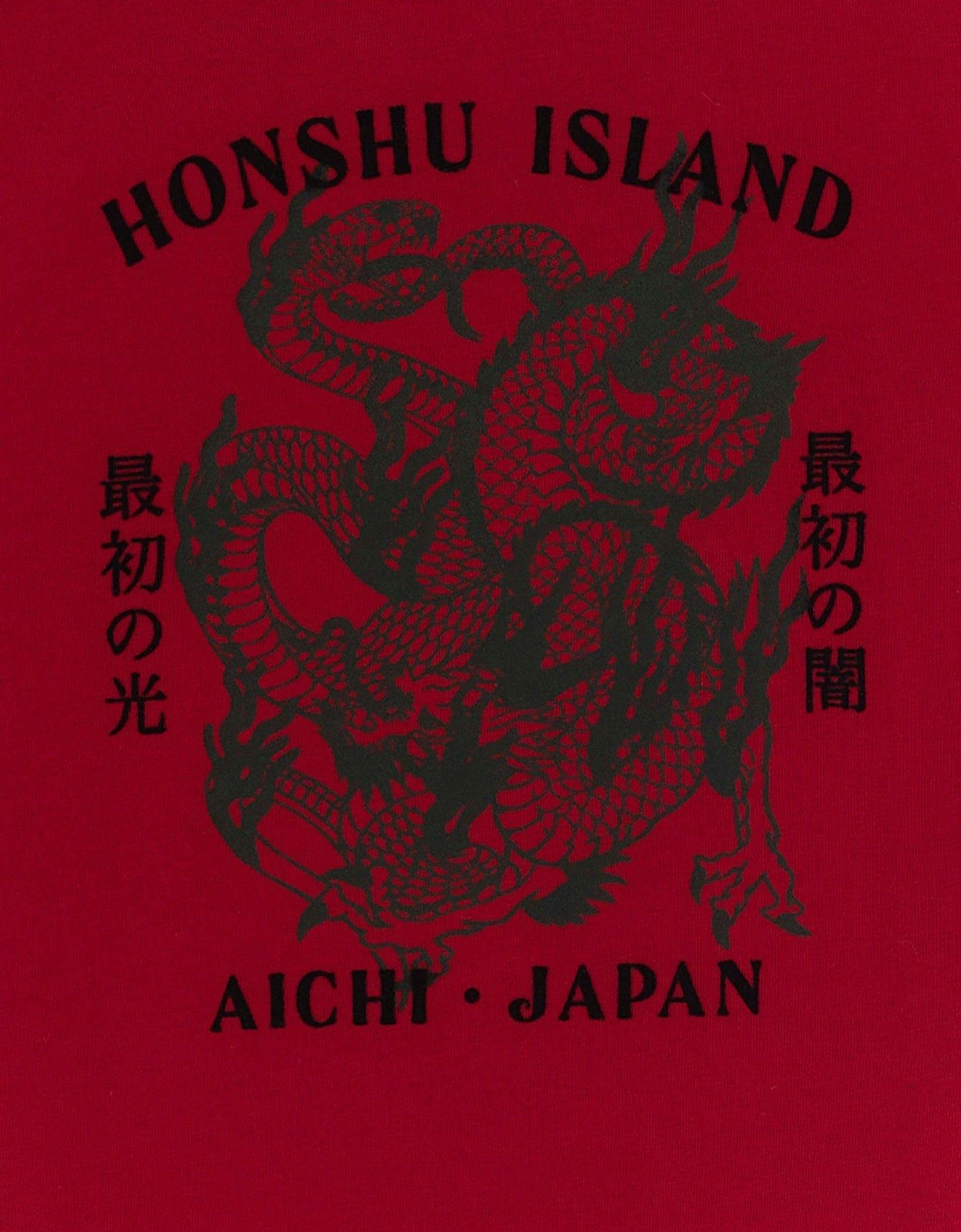 Boys Dragon Graphic T-Shirt - Red