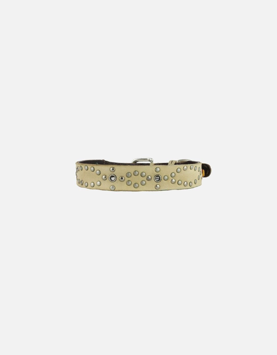 Dog Collar, 3 of 2