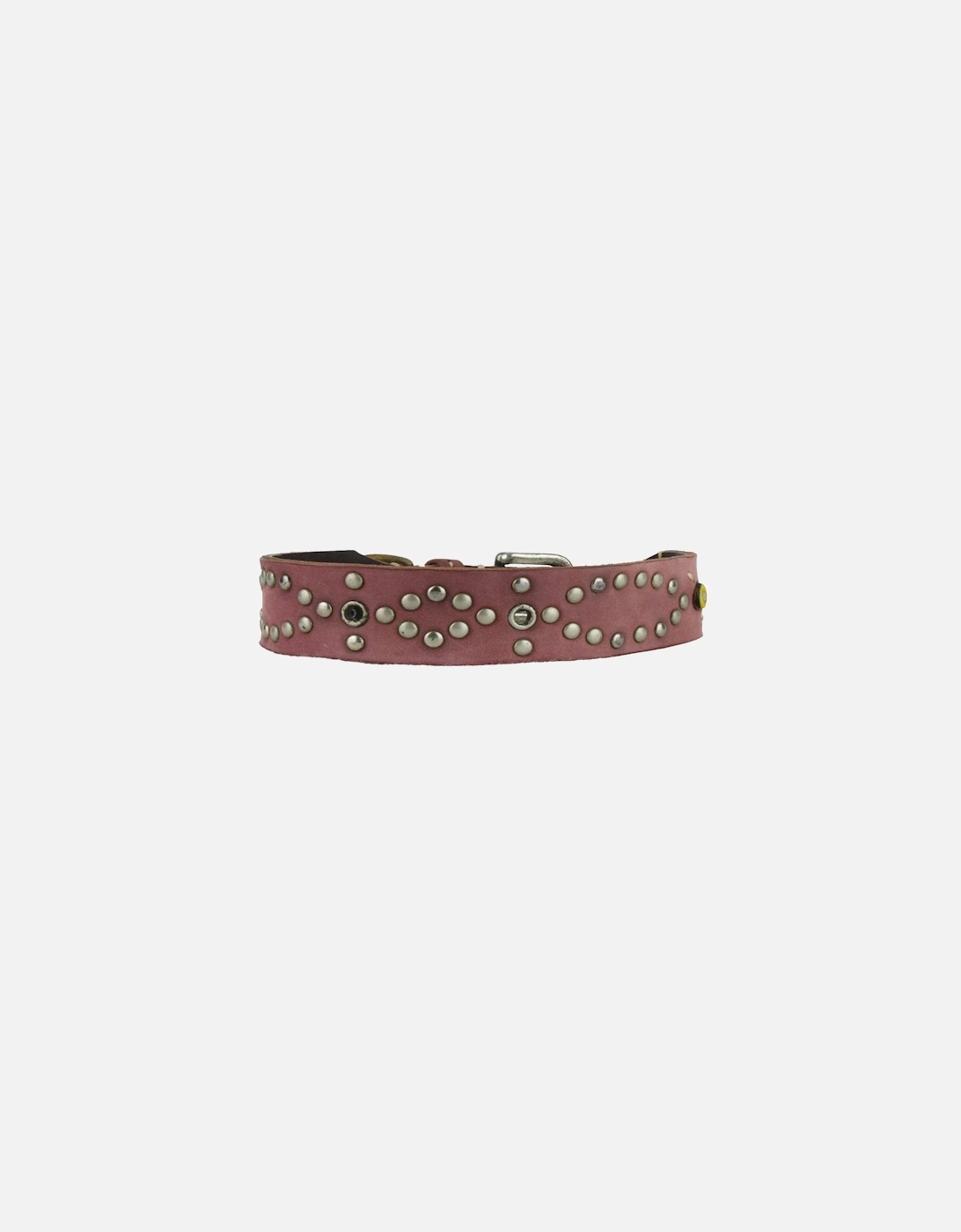 Dog Collar, 3 of 2