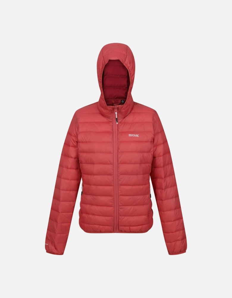 Womens/Ladies Marizion Hooded Padded Jacket