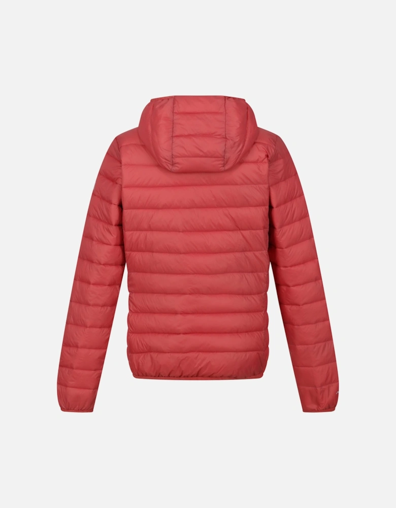 Womens/Ladies Marizion Hooded Padded Jacket