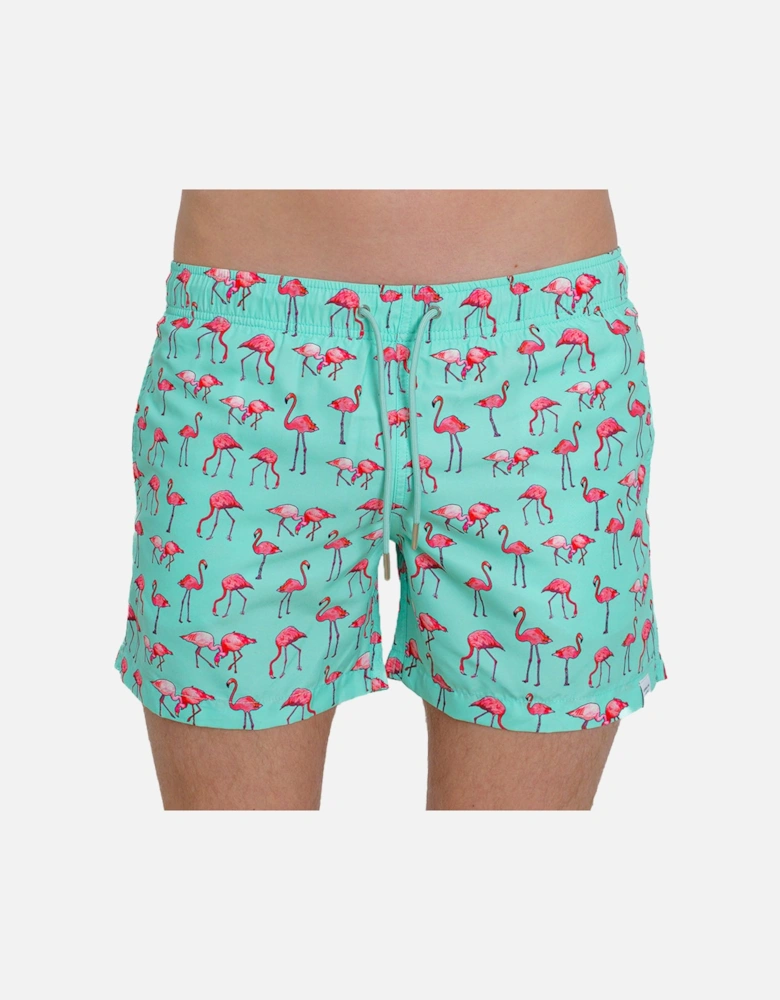 Flamingo Cluster Swim Shorts, Pale Green