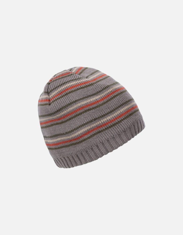 Adults Ray Fleece Lined Striped Beanie Hat