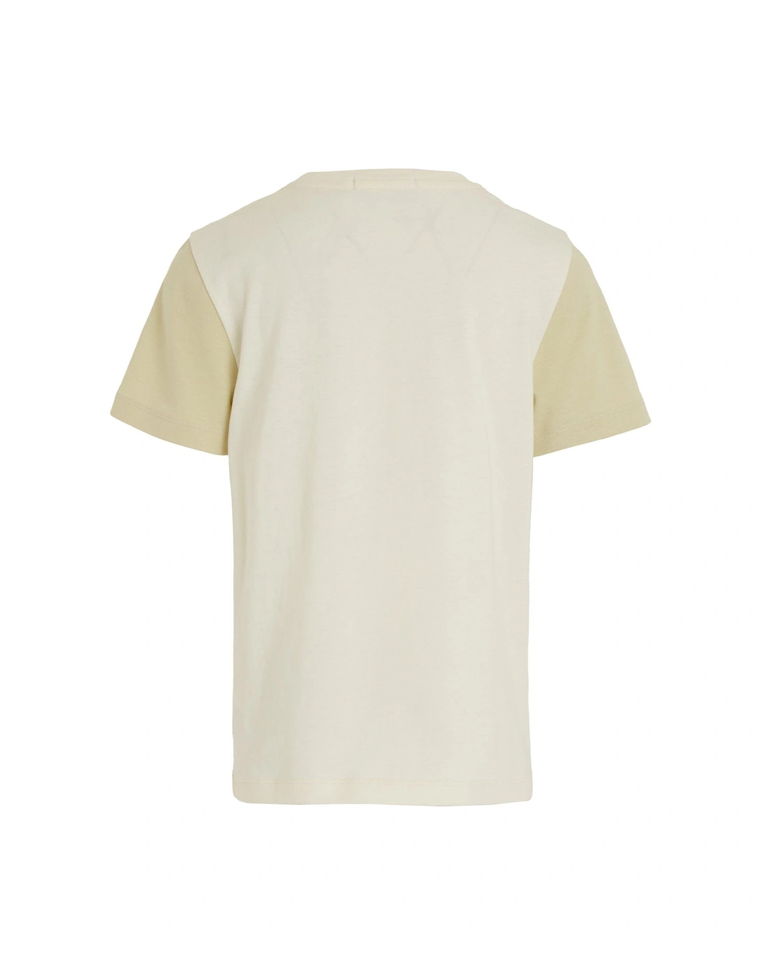 Boys Color Block Short Sleeve T-shirt - Papyrus - Beige