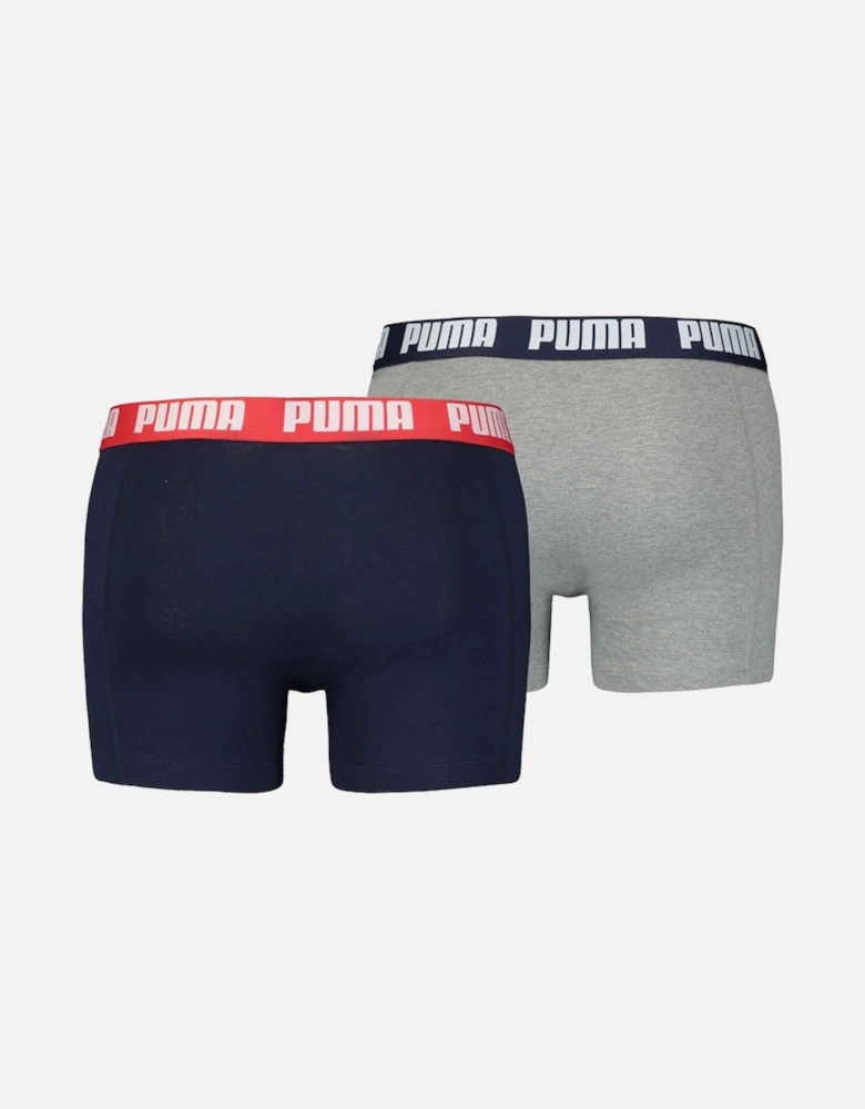 Mens Basic Boxer Shorts (Pack of 2)