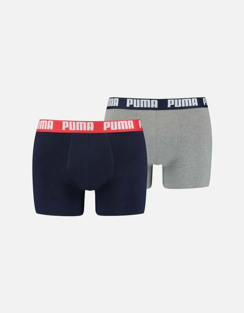 Mens Basic Boxer Shorts (Pack of 2)