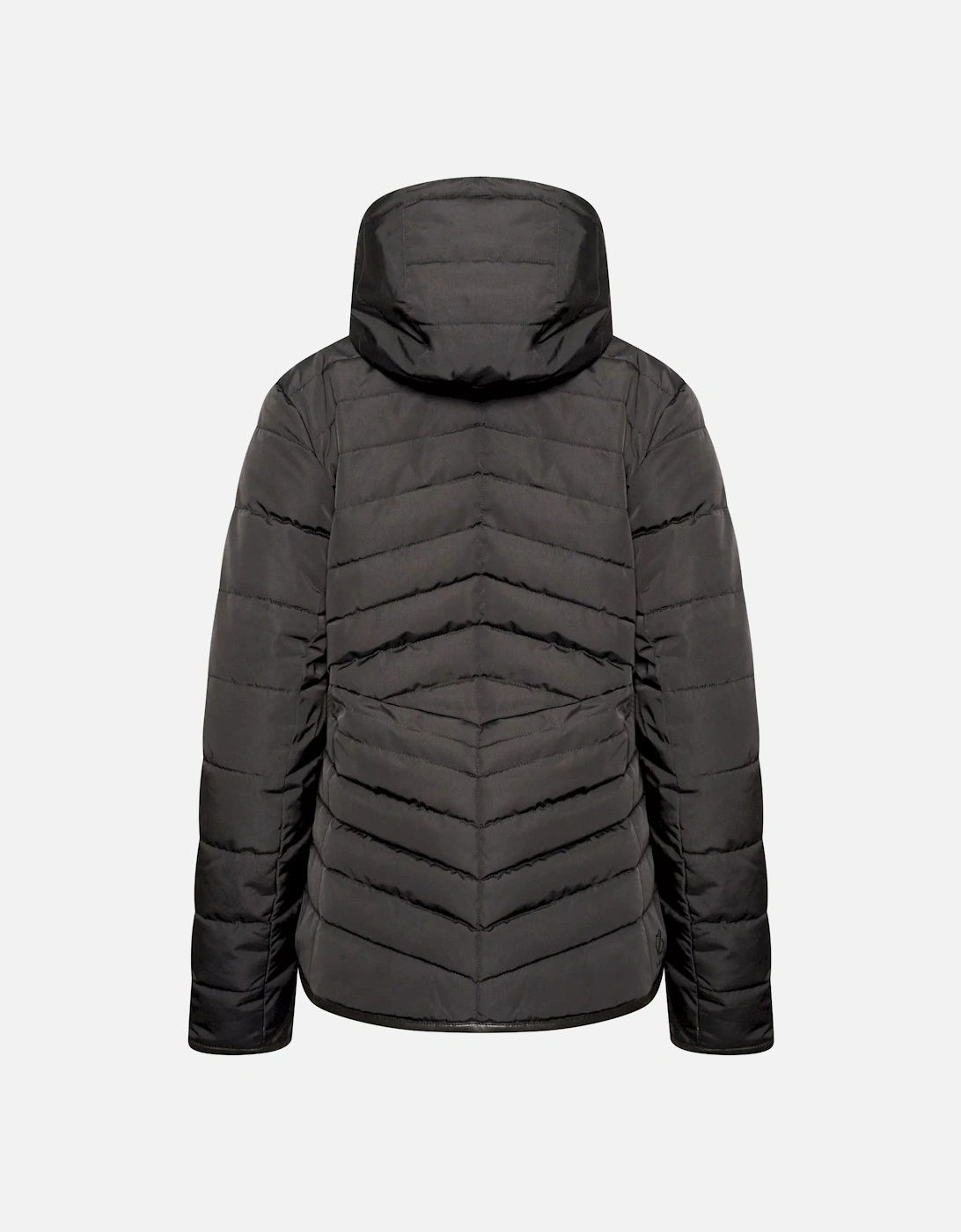 Womens/Ladies Striking Padded Jacket