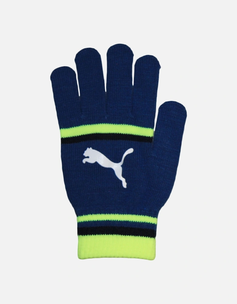 Womens/Ladies Striped Gloves