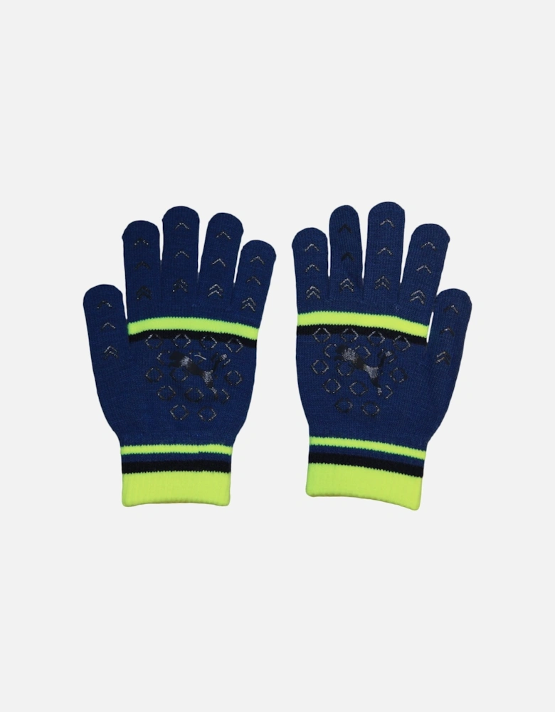 Womens/Ladies Striped Gloves