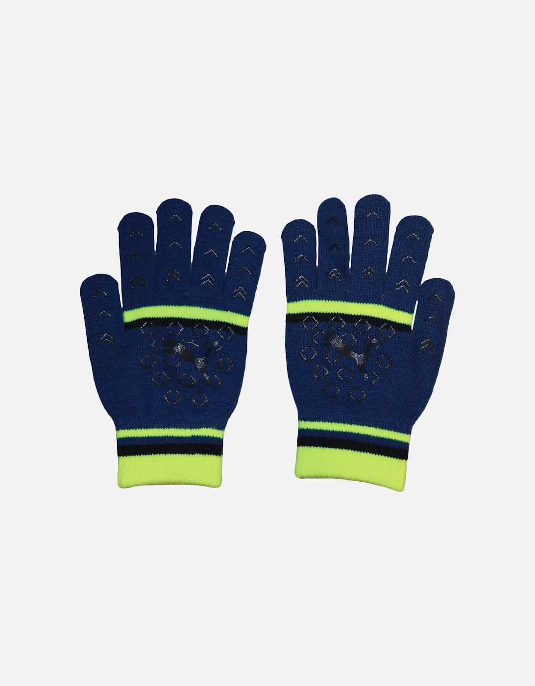 Womens/Ladies Striped Gloves