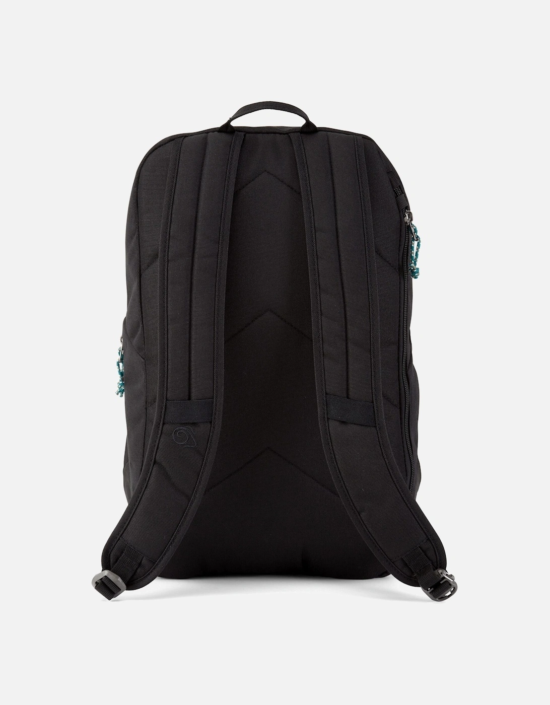 Kiwi Classic 22L Backpack