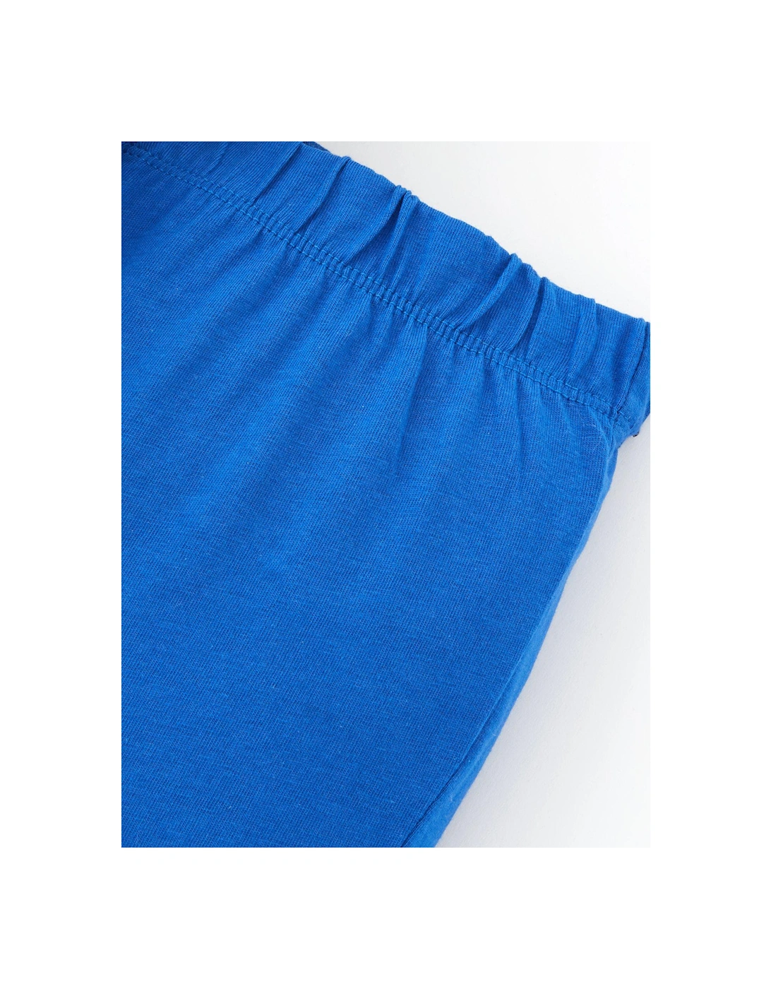 Boys Dinosaur Short Sleeve T-shirt and Short Set - Blue