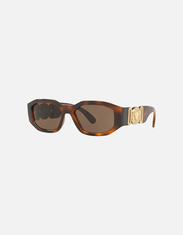 Sunglasses Medusa Biggie Havana Tortoise Gold VE4361