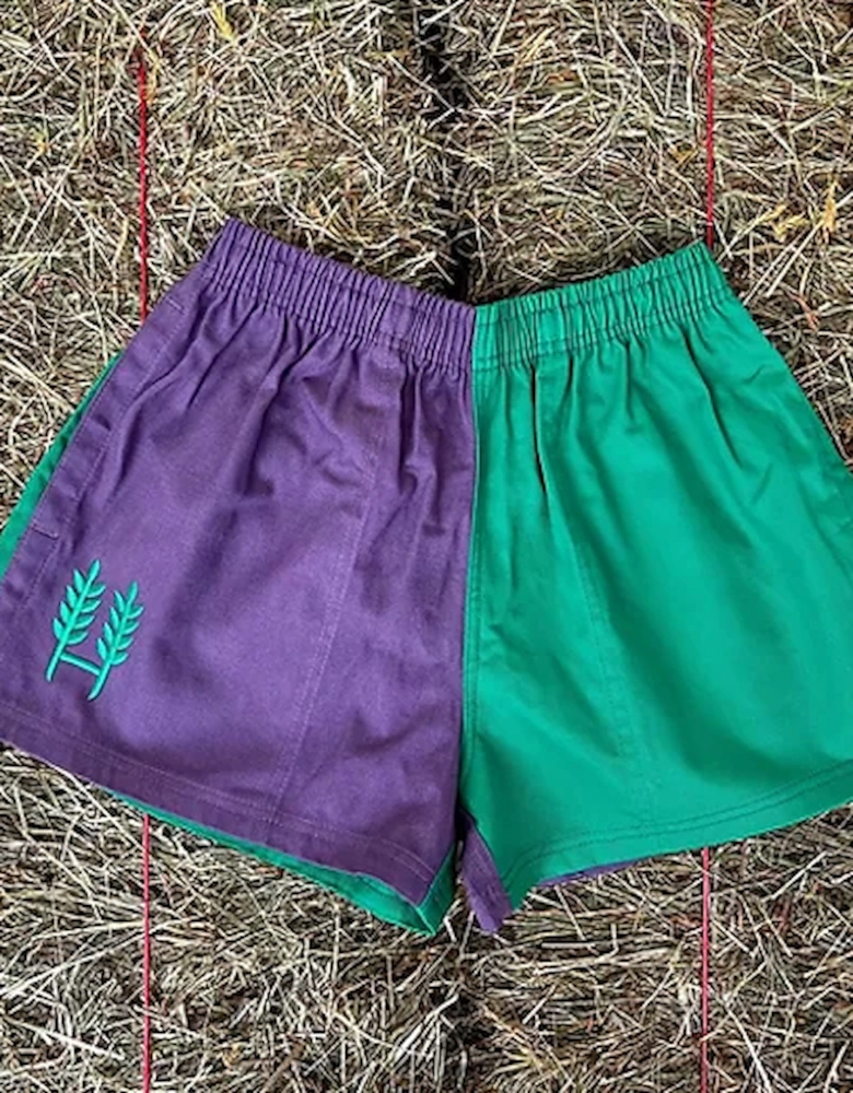 Men's Harlequin Shorts Purple/Green