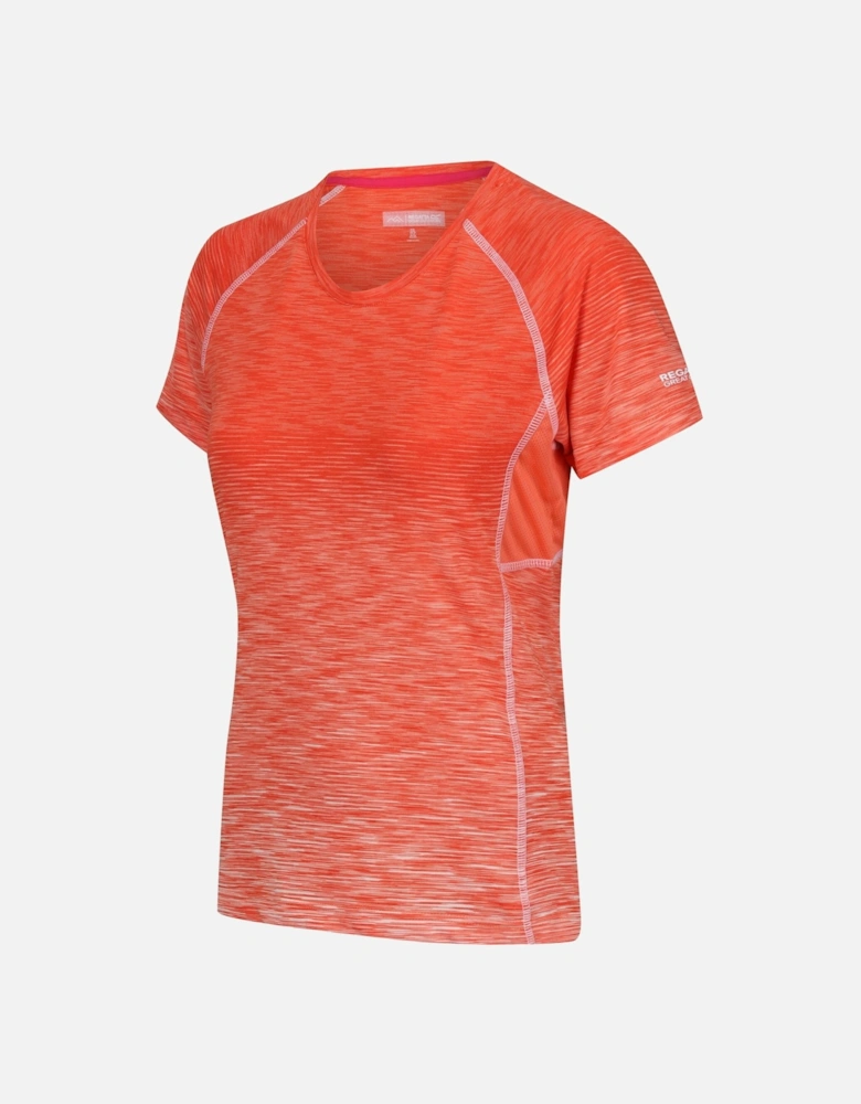 Womens/Ladies Ombre T-Shirt