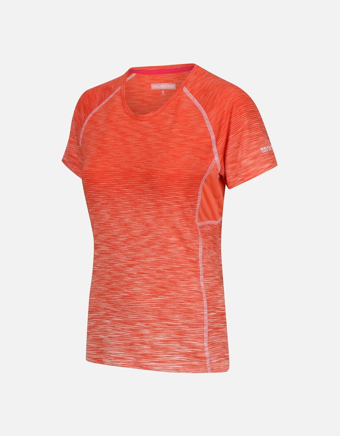 Womens/Ladies Ombre T-Shirt