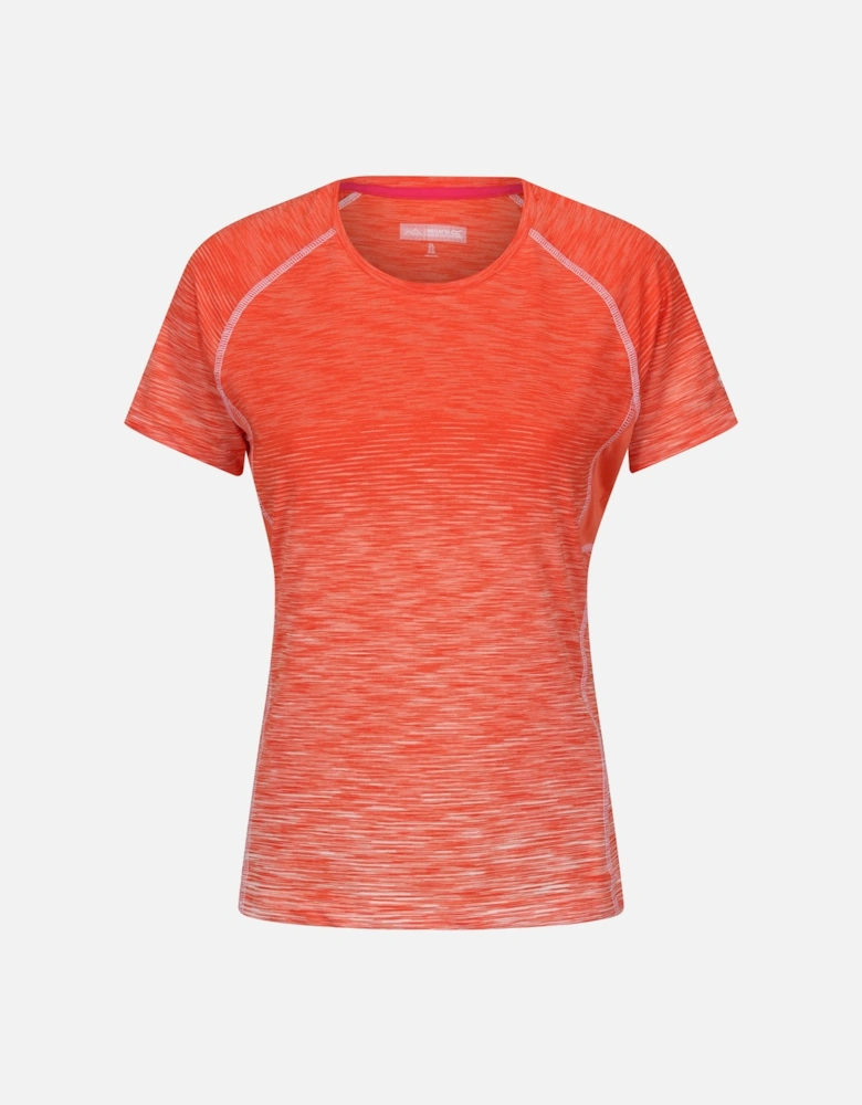 Womens/Ladies Ombre T-Shirt