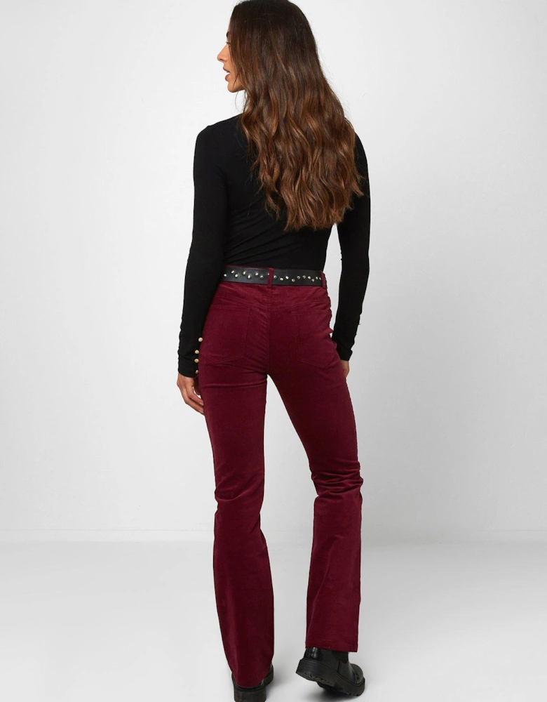 Must Have Moleskin Trousers - Berry