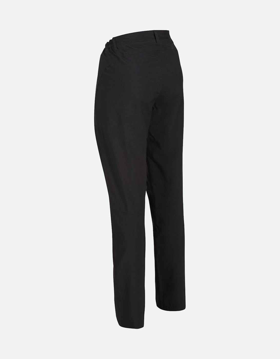 Womens/Ladies Dayhike IV Hiking Trousers