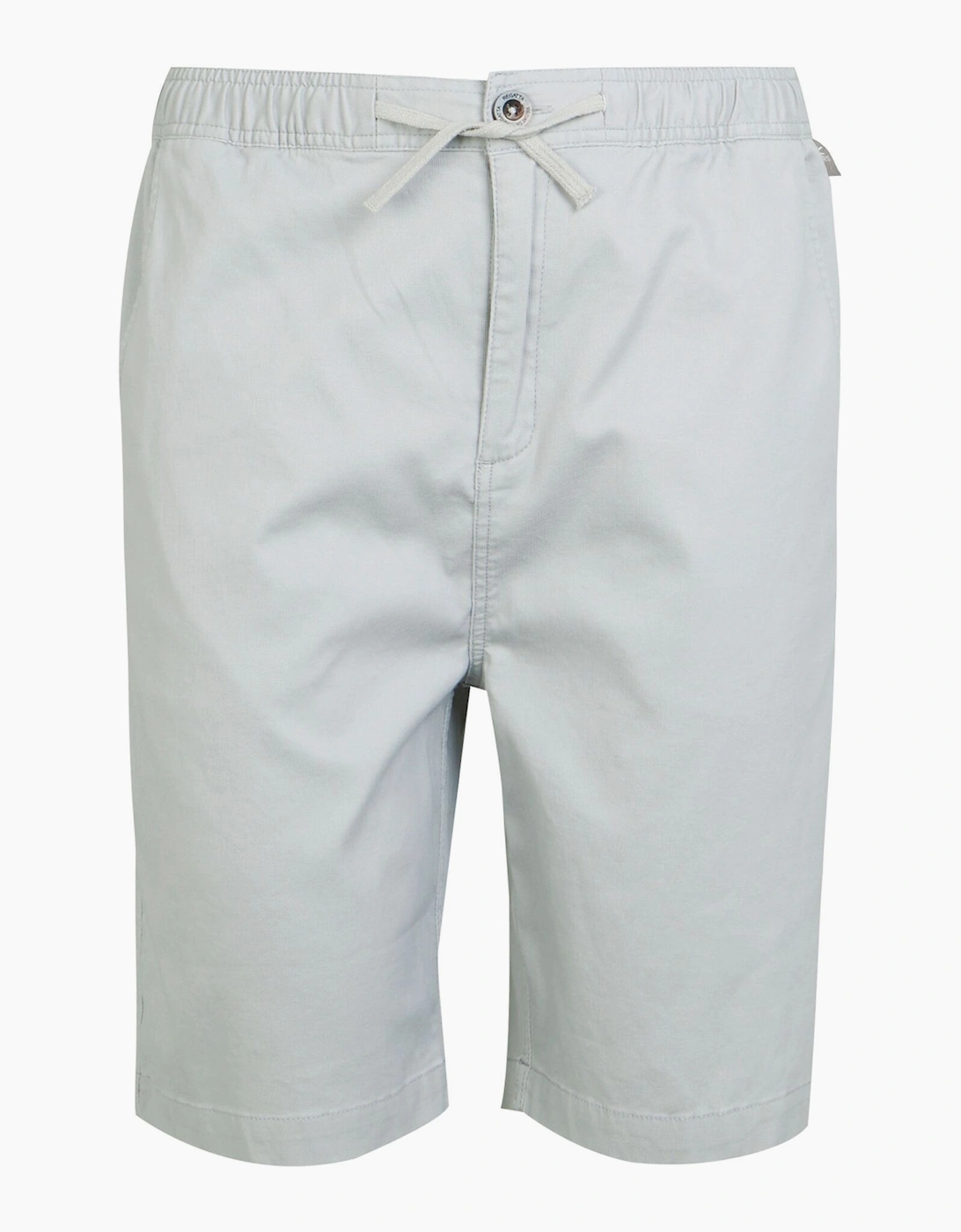 Regatta Men's Silver/Multi Aldan Chino Shorts - Size: 36/32