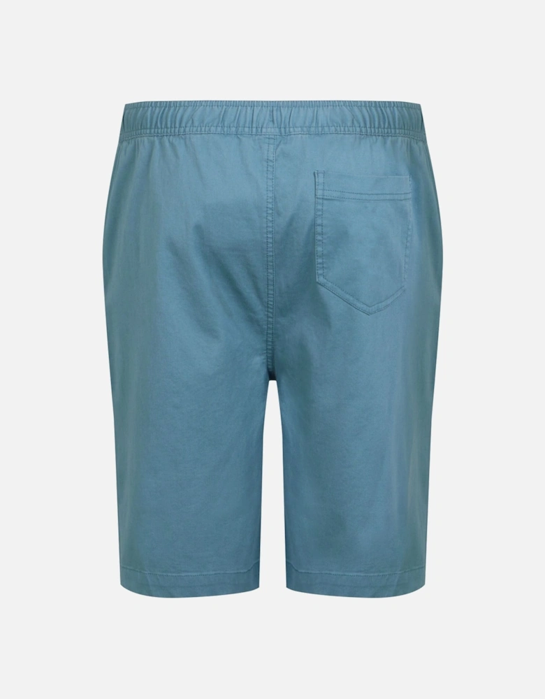 Mens Aldan Chino Shorts